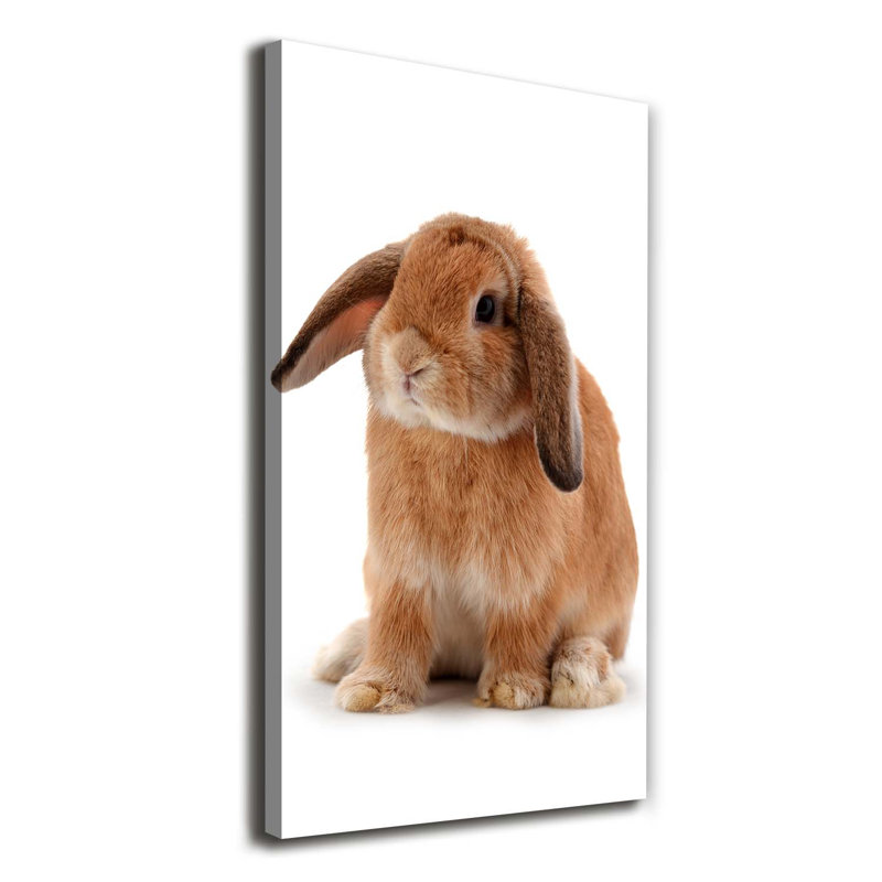 Rabbit - Wrapped Canvas Print