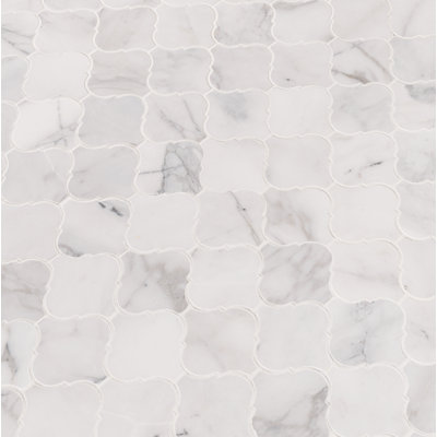 Carreau de mosaïque en marbre et mosaïque 12 po x 13 po Venatino Elysia