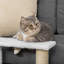48cm H Cat Tree-121575295