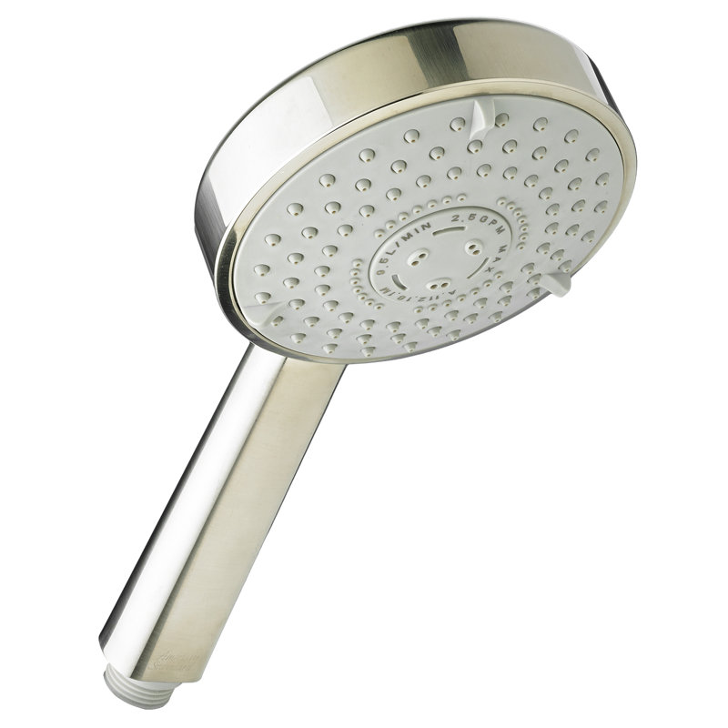 Rain Handheld Shower Head 2.5 GPM GPM, Polished Chrome