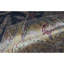 One-of-a-Kind 9'2" X 11'11" Area Rug