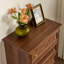Commode simple avec rangement en noyer noir-2042342171
