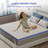 Aletha 3'' Memory Foam Mattress-970580733