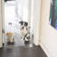 Clear Freestanding Pet Gate with Door 36"w x 30"h-798358678