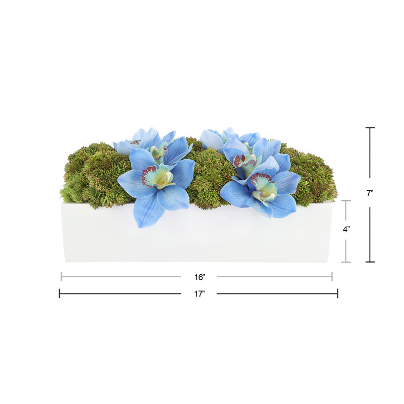 Orchid and Sedum Arranged in Fiberstone Planter, 7" H x 17" W x 10" D, Blue