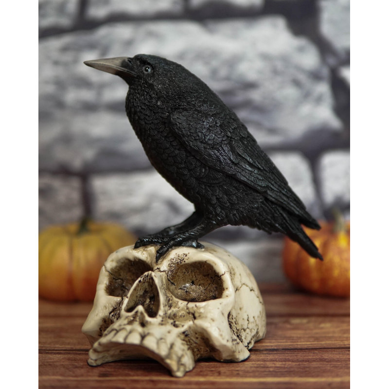 Corbeau perché sur un crâne
