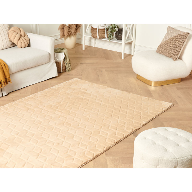 Ipina Geometric Hand Woven Area Rug, Rectangle 160 x 230 cm