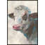 A Cow's Portrait Painting by Richard Ryder