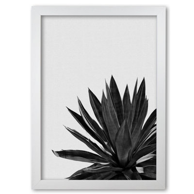 Agave Cactus - Single Picture Frame Print