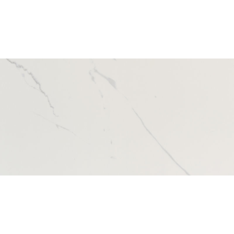 Ardena 24 in. x 48 in. Matte Porcelain Stone Look Floor and Wall Tile, Silva