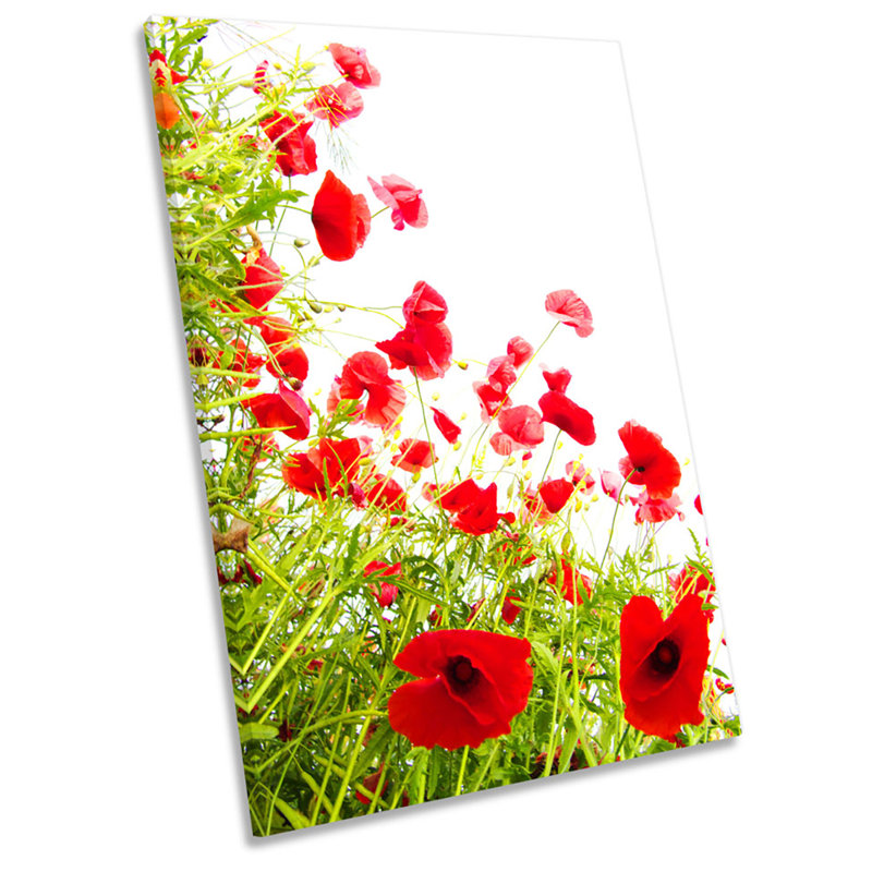 Poppies Flowers Floral Poppy - Wrapped Canvas Print, 45.7cm H x 30.5cm W