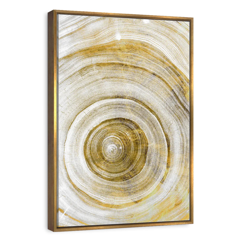 Anneaux d'arbre Molinari géométrique, Floating Frame Gold, 21 po x 31 po