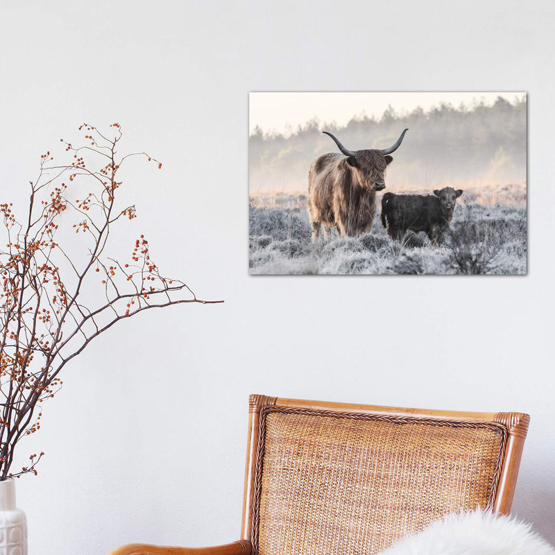 Highlander And Calf by Jaap Van Den - Wrapped Canvas Print, 30.48 cm H x 45.72 cm W