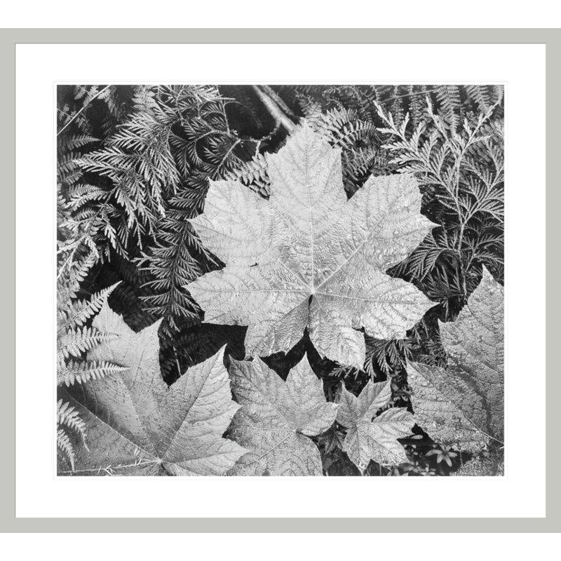 «In Glacier National Park» par Ansel Adams, impression giclée sur cadre, 33.5" H x 37.19" W