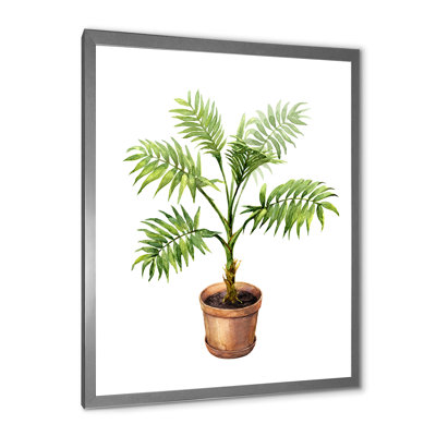 " Palm In Clay Flowerpot " Painting Print