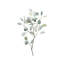 «Seaglass Eucalyptus I» par Grace Popp - peinture sur toile tendue-60292534