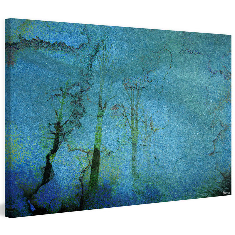 Parvez Taj - Wrapped Canvas Print, 51cm H x 76cm W