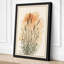 Ornamental Grass Study Botanical - Wrapped Canvas-5136456-5136496