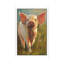 Morning Pig by Cari J. Humphry - Floater Frame Painting on Canvas-1500593008-1500593009
