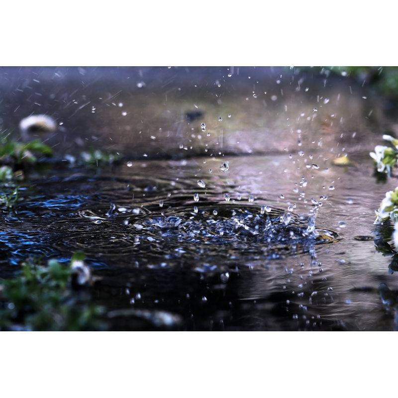 The Raindrop - Photographie sur toile tendue, H 32 po x l 48 po x P 1,25 po