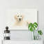 A Golden Retriever Puppy In Abstract - Wrapped Canvas-55300275