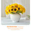Arrangement de tournesol (ensemble de 6)