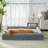 Dog Bed