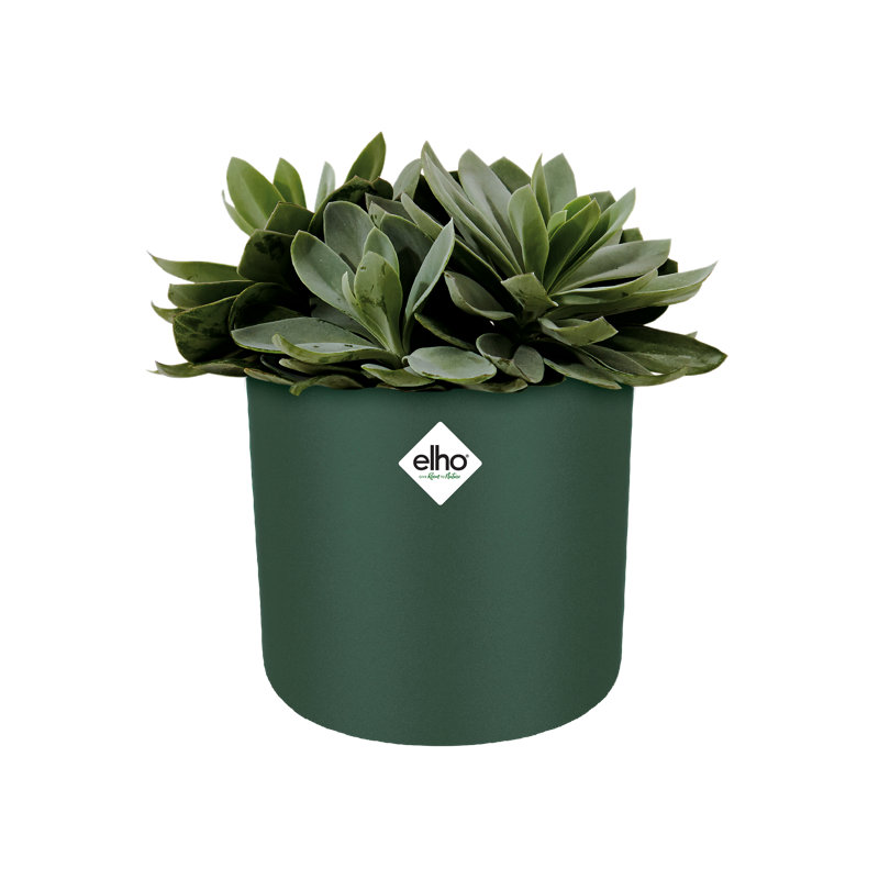B.For Pot Planter, Leaf Green, 12.5cm H x 13.8cm W x 13.8cm D