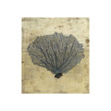 Sea Fan Print by Sarah Atkinson