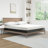 Alwyn Home Rilla 10" Medium-Firm Gel Memory Foam Mattress-99157047