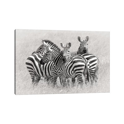 Zebras 1 Piece Wrapped Canvas Wall Art