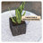 Teter Modern Square Fiberstone MgO Clay Planter with Textured Finish Plant Pot for Indoor and Outdoor Use-354126511