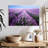 Alvord Lavender Field In Provence-107688676