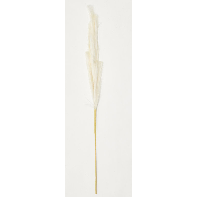 35 po Pampas