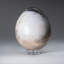 Polished Petrified Wood Egg from Madagascar (2.2 Lbs)