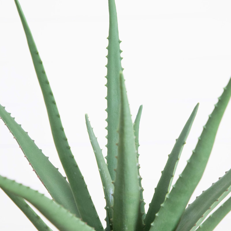 17,5 po Agave artificiel