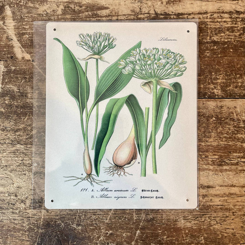 Handmade Plants & Flowers Wall Decor on Metal, 20cm H x 15cm W