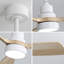 Ventilateur de plafond en bois massif 48 pouces avec moteur à courant continu réversible à intensité variable 6 vitesses-247922923