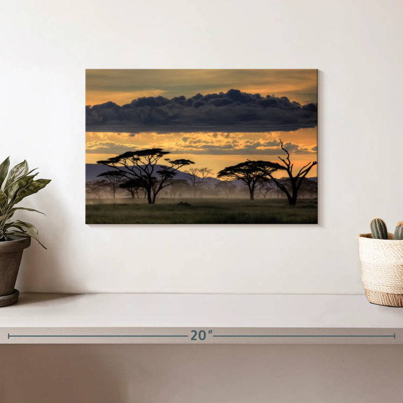 Nicci Good Evening, Tanzanie, H 8 po x l 12 po