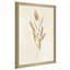 Botanical Study I Gold Crop - Peinture-195985680-195985774