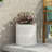 MGO PLANTER