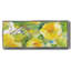 Citron Hibiscus II - toile encadrée