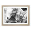 Two Snuggling Lions - Single Picture Frame Print on MDF-56628261-56628263