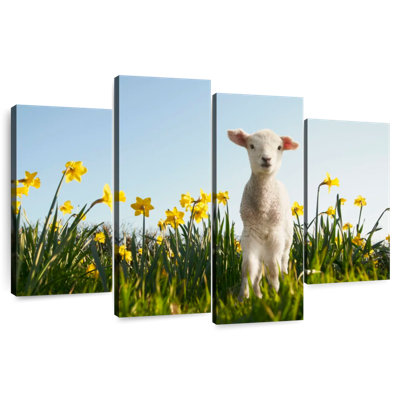 Brampt Sheep In The Meadow