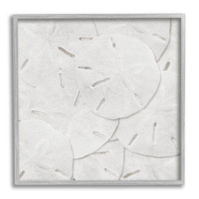 " Nautical Sand Dollars "