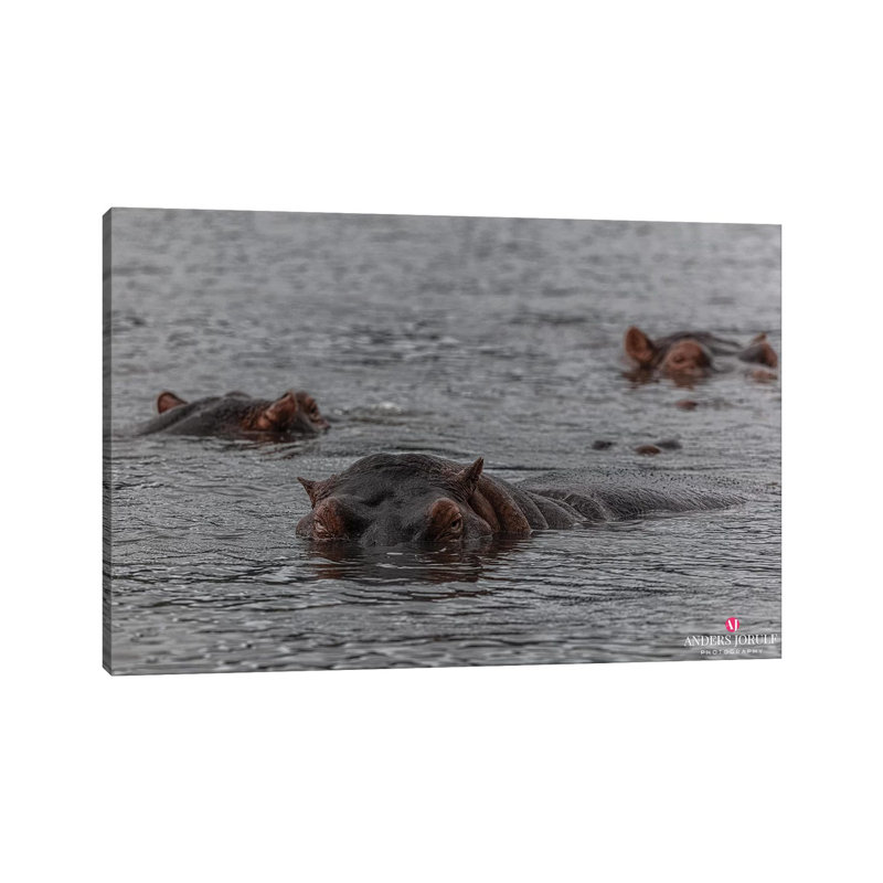 Looks Who's Here! by Anders Jorulf - Wrapped Canvas Gallery-Wrapped Canvas Giclée, 101.6 cm H x 66.04 cm W