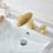 Widespread 2-handle Bathroom Faucet with Drain Assembly-86229019