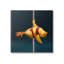 Az-011 - Pole Dancing Chick par Lucia Heffernan-93958636-93958635