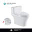 Toilette une pièce à hauteur ajustable 1,6 GPF Fine Fixtures-88369097