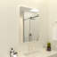 Miroir rectangulaire inclinable pour salle de bain 27 po x 36 po Verge-1828829822-1828829816